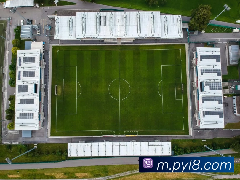 App Interface Preview