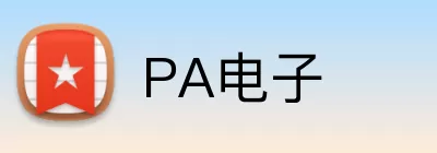 PA电子 logo